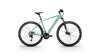 Conway Razz 4.0 Herren 41 cm grün