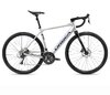 Orbea GAIN D50 20mph L Metallic Silver (Matt) - Black (Gloss)