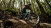 Trek Fuel EX 8 GX AXS XL 29 Matte Keswick