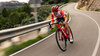 Bontrager Lenker Trek RSL Aero Quest Carbon 31,8mm 38cm Blac