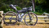 Trek Checkpoint SL 5 AXS L Lava/Black Olive