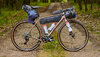 Trek Checkpoint ALR 5 M Bronze Age