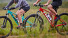 Trek Marlin 7 L 29 Fury Red Fade