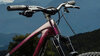 Trek Fuel EX 8 L Wild Mushroom/Trek Black