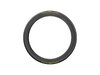 Pirelli Tire Pirelli PZero RC TLR SL-R Team Edition 700x28