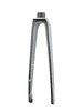 Trek Fork Rigid Trek Emonda SL 5 56-62cm Quicksilver/Bl